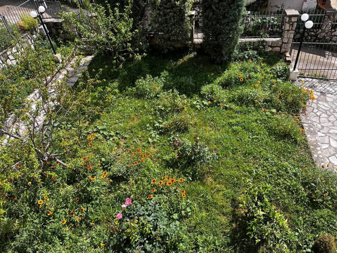 Apartments In Villa Viktoria Sutomore Exterior photo