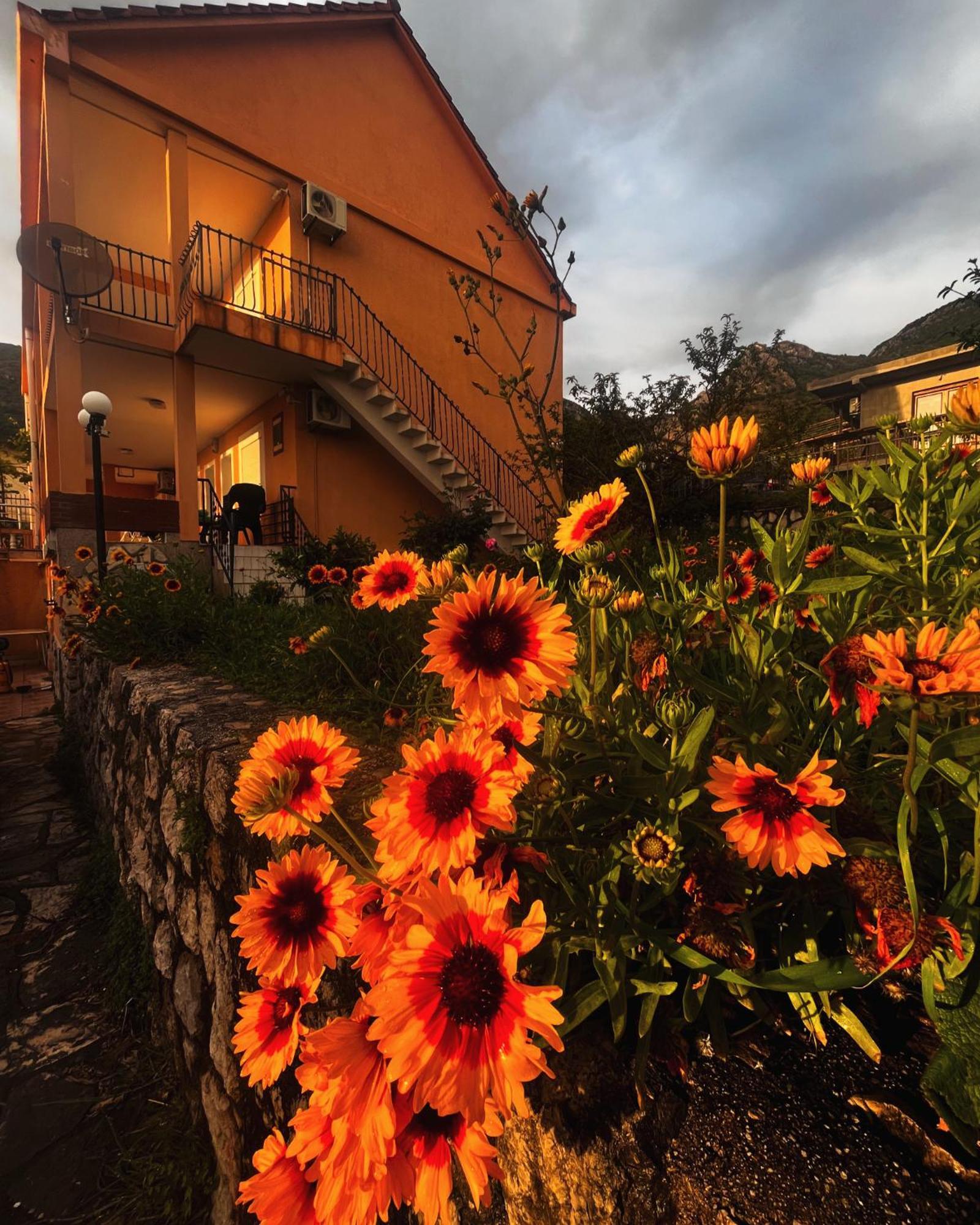 Apartments In Villa Viktoria Sutomore Exterior photo